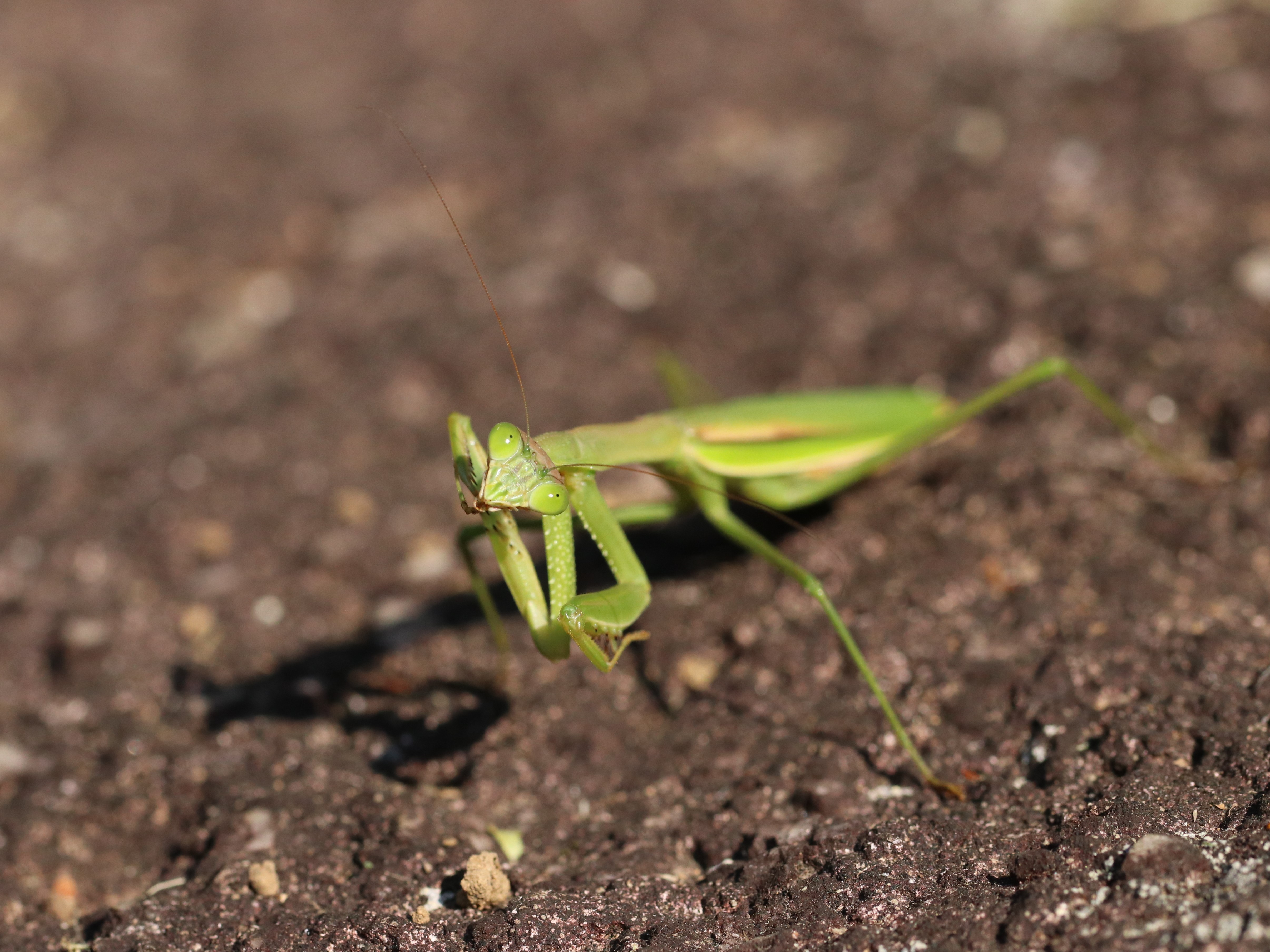 photo_2